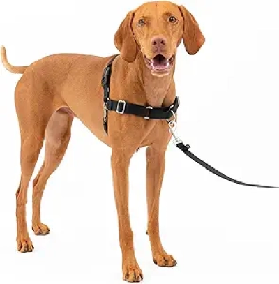 Harnais Anti-Traction PetSafe Easy Walk - Taille M Noir/Argent