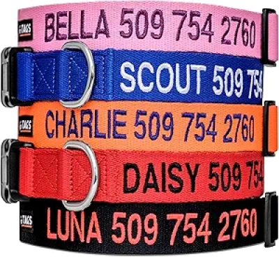 Collier Chien Personnalisé GoTags - Broderie Nom et Téléphone
