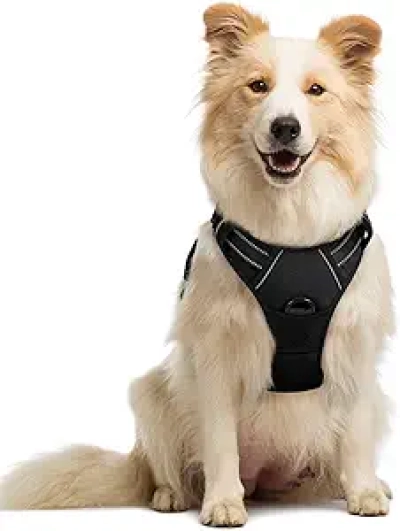 Harnais Chien Medium rabbitgoo No Pull - Gilet Réfléchissant Ajustable