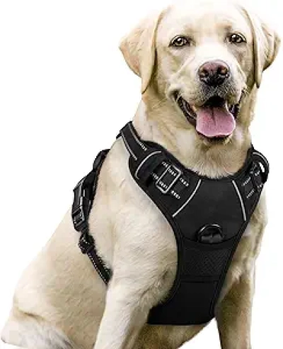 Harnais Chien Anti-Traction rabbitgoo - Grand Chien (L) Noir