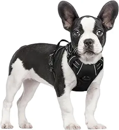 Harnais Rabbitgoo anti-traction pour petit chien - S - Noir réfléchissant