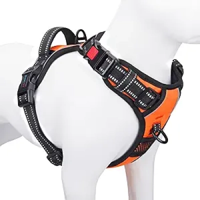 Harnais Chien Anti-Traction Réfléchissant grandes races - Orange