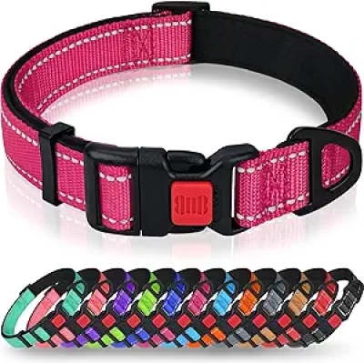 Collier Chien Réfléchissant Taglory Rose - Grand Chien, Sécurité Nuit