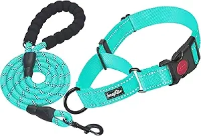 Collier de Dressage Martingale pour Chien - 2 Pack Reflétant