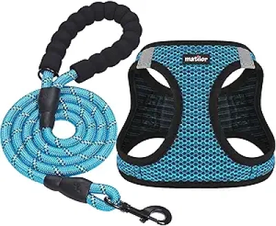 Harnais Chien Respirant Step-in Bleu - Petit/Moyen Chien et Chat