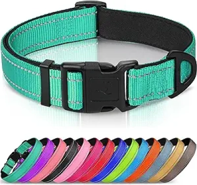 Collier Chien Réfléchissant Joytale - Néoprène Rembourré Taille L