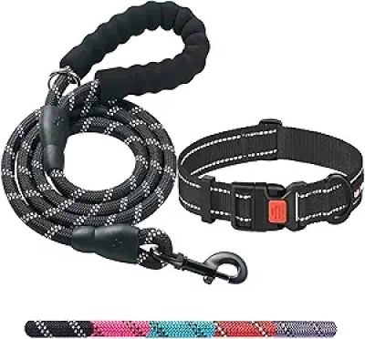 Laisse Chien Robuste 1,5m Poignée Rembourrée + Collier Offert - Toutes Tailles