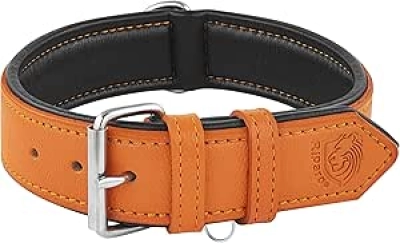 Collier Chien Cuir Orange Rembourré - Collier Robuste pour Petit, Moyen et Grand Chien