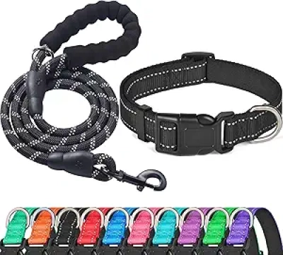Collier Chien Réfléchissant Néoprène Rembourré - Medium