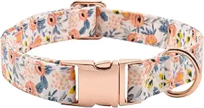 Collier de Chien avec Boucle Métal Ajustable - Petit, Moyen, Grand Chien