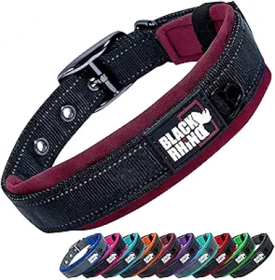 Collier pour Grand Chien Black Rhino - Rembourrage Néoprène Réfléchissant
