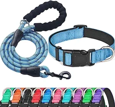 Collier de Chien Réfléchissant Bleu - Néoprène Rembourré Confortable