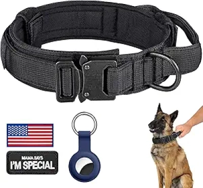 Collier Tactique Chien DAGANXI - Nylon Militaire L avec Poignée de Contrôle