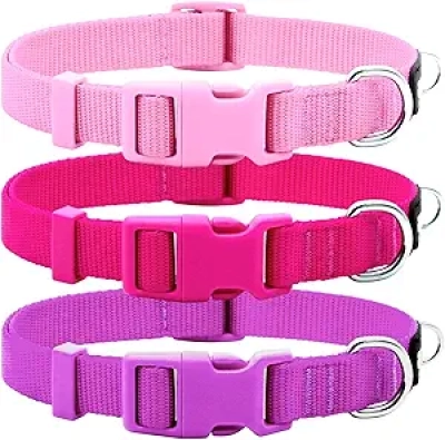 Lot de 3 Colliers pour Chien Ajustables - Rose, Rose Vif et Violet