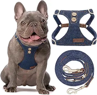 Harnais Anti-Traction Chien Moyen – Confortable & Sécurisé | Puppytie