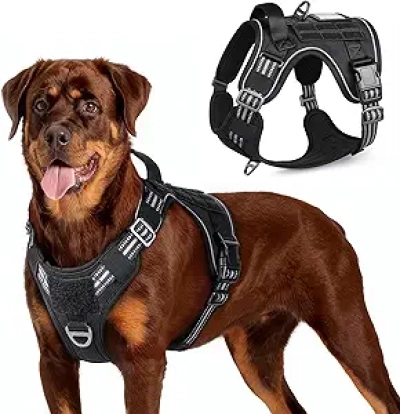 Harnais Tactique pour Grand Chien rabbitgoo - Anti-Traction Réfléchissant L