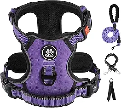 Harnais Anti-Traction pour Chien Moyen IVY&LANE - Violet M avec Laisse