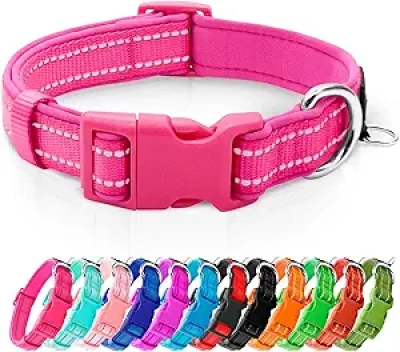 Collier Chien Réfléchissant Rose Fluo - Petit Chien Ajustable avec Anneau ID