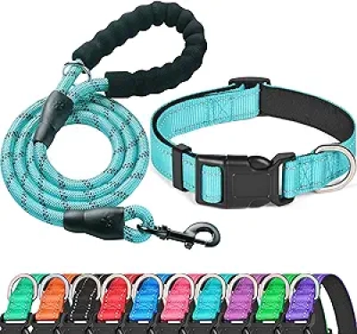 Collier chien réfléchissant rembourré néoprène M/L 19-23.5" + laisse