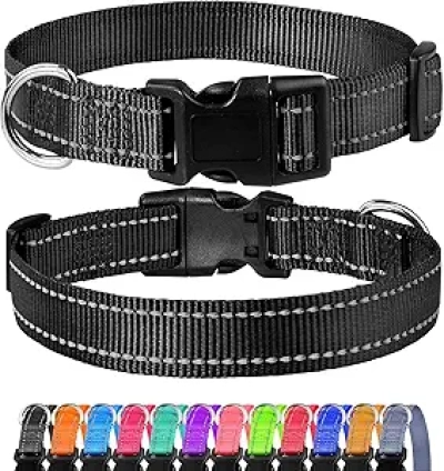 Collier de Chien Réfléchissant FunTags - Nylon Robuste avec Boucle de Dégagement Rapide