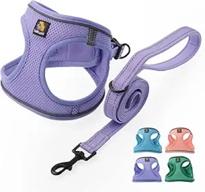 Harnais pour Petit Chien BELLA & PAL - Sans Traction, Respirant avec Laisse