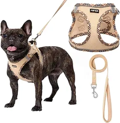 Harnais Chien Petit No Pull avec Laisse - Reflétant Anti-Évasion