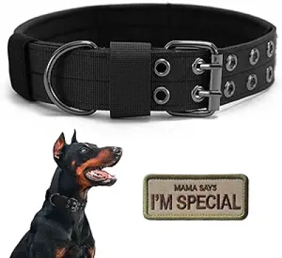 Collier Tactique Militaire pour Chien Moyen/Grand - Nylon Renforcé Réglable L