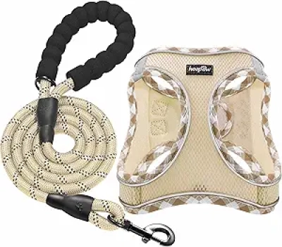 Harnais Chien Haapaw avec Laisse - Anti-Traction Ajustable Petit/Moyen