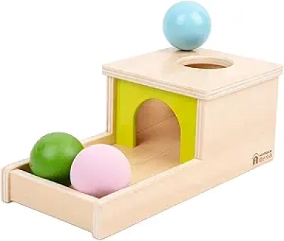 Boîte de Permanence de l'Objet Montessori - Jouet Éducatif 6-12 Mois