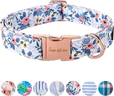 Collier pour Chien Rose avec Boucle Métal - Ajustable Petit à Grand Chien