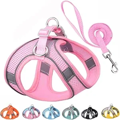 Harnais pour Petit Chien Anti-Traction Rose XXS avec Laisse - Réfléchissant