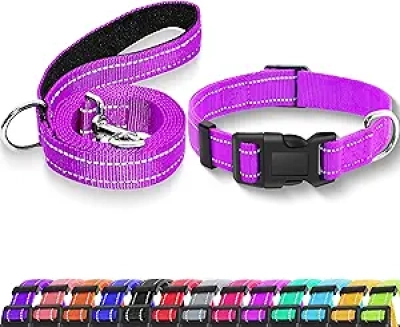 Collier Chien Réfléchissant avec Laisse - Nylon Ajustable Sécurité XS