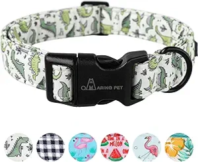 Collier pour Chien Dinosaure ARING PET - Petit Collier Ajustable Coton