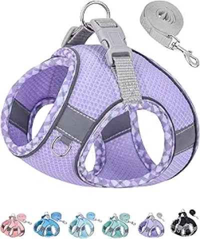 Harnais pour petit chien sans traction Petank - Violet S