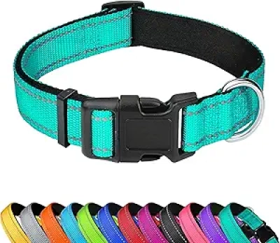 Collier Chien Réfléchissant Ajustable - Néoprène Rembourré M Bleu Canard