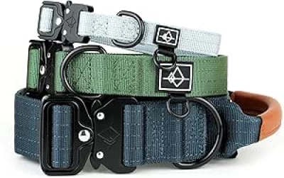 Collier de Chien Premium Made to ROAM - Nylon Renforcé Réglable avec Boucle Rapide