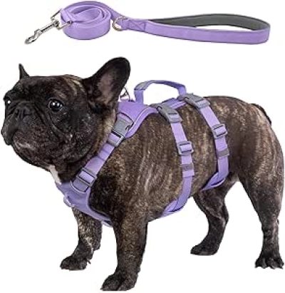 Harnais Anti-Évasion pour Chien M - Gilet de Sécurité Réfléchissant avec Laisse