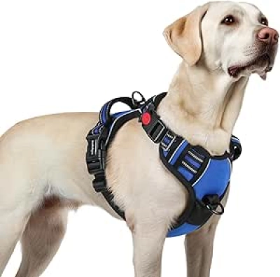 Harnais pour Grand Chien rabbitgoo - Anti-Traction Réfléchissant L