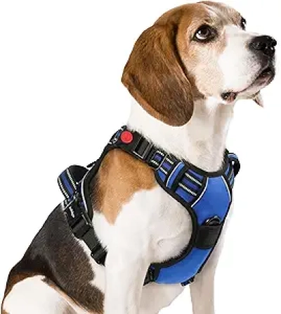 Harnais chien rabbitgoo taille M anti-traction avec poignée de contrôle