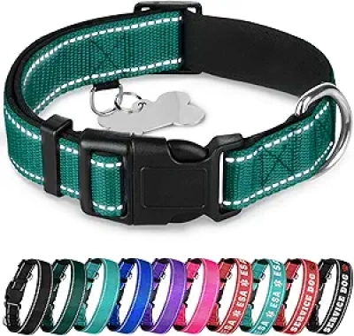 Collier Réfléchissant pour Chien TECEUM - Vert Émeraude M - Rembourrage Confort