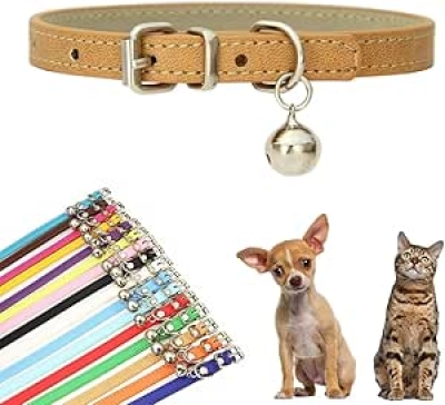 Collier pour chien XXS cuir synthétique avec clochette - petit chien chat