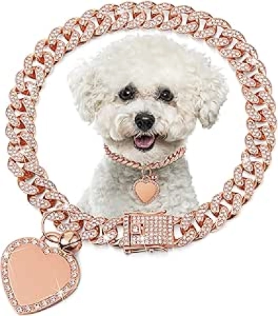 Collier Chaîne Dorée pour Chien Chat avec Strass Cœur et Plaque ID Personnalisée