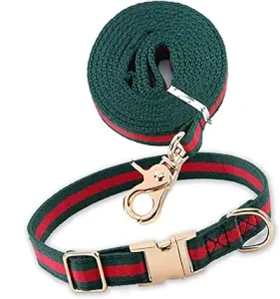 Collier et Laisse pour Chien Ajustable - Harnais Élégant Petit Chien