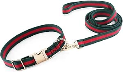 Collier de Chien Premium Luxe avec Laisse - Petit Chien & Chiots