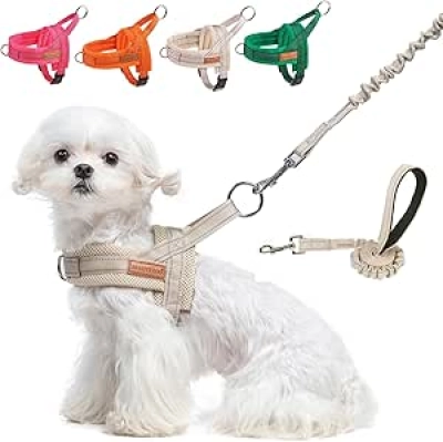 Harnais Chien Petit BEAUTYZOO Anti-Traction XS - Gilet Sécurisé avec Laisse