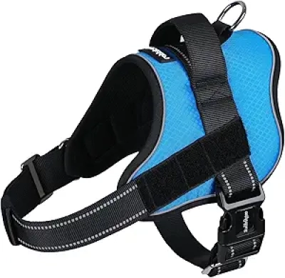 Harnais Chien rabbitgoo Taille M - Gilet de Promenade Anti-Traction avec Poignée