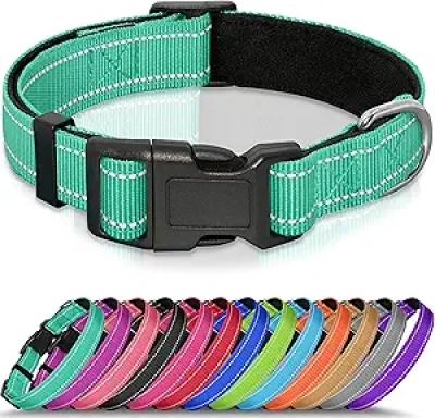 Collier pour Chien Réfléchissant Néoprène Rembourré - Ajustable XS