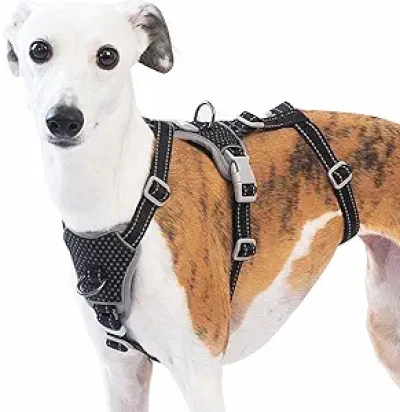 Harnais Chien Anti-Fuite Huntboo - Réfléchissant, Sans Traction, Taille M