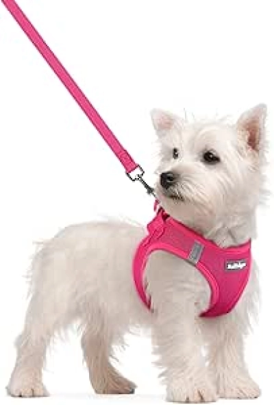 Harnais Chien Petit Rabbitgoo avec Laisse - Rose S