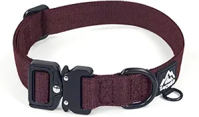Collier Chien Robuste Bordeaux L - Nylon Résistant avec Boucle Métallique